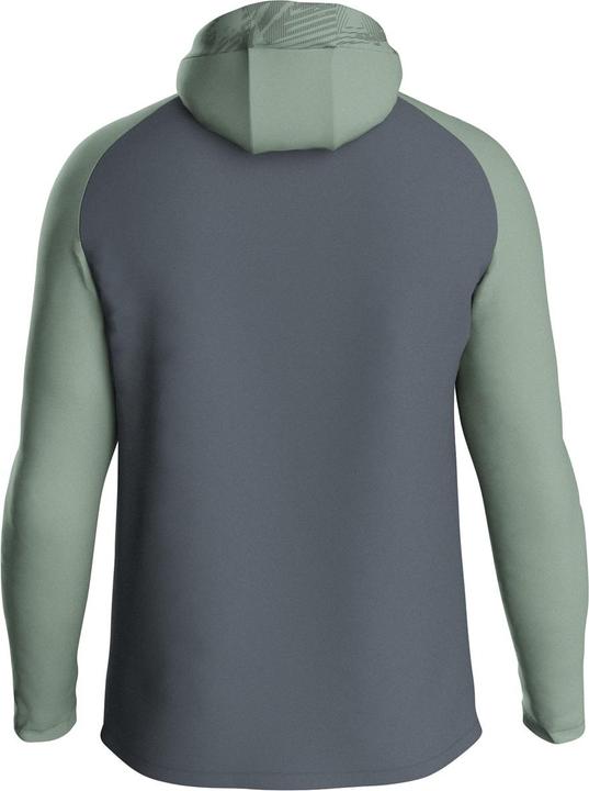 Image du produit JAKO Veste à capuche Iconic (36)