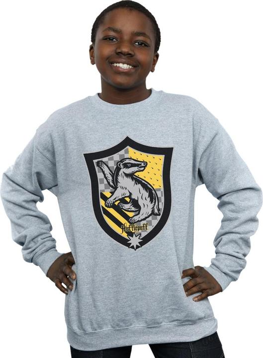 Image du produit - Sweat HUFFLEPUFF CREST FLAT - Garçon (140, 146)