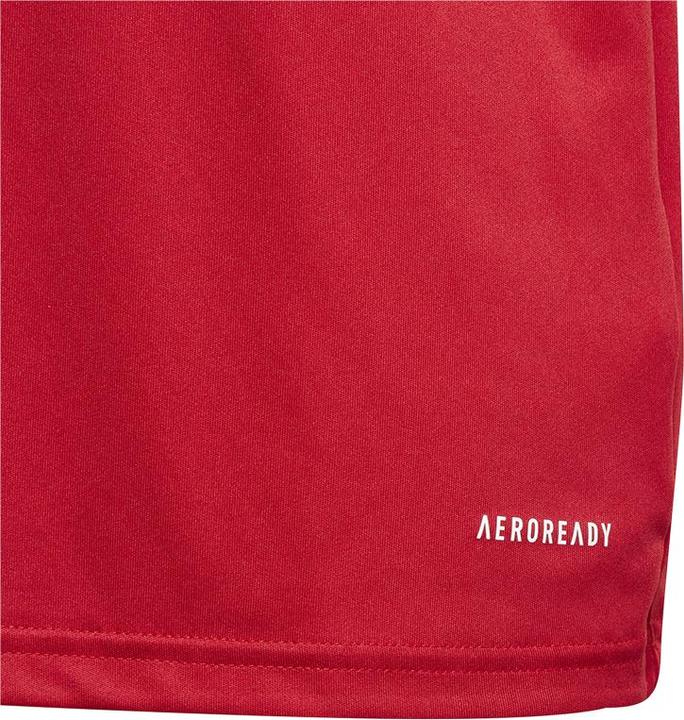 Actual product image adidas FORTORE23 JSY Y (116)