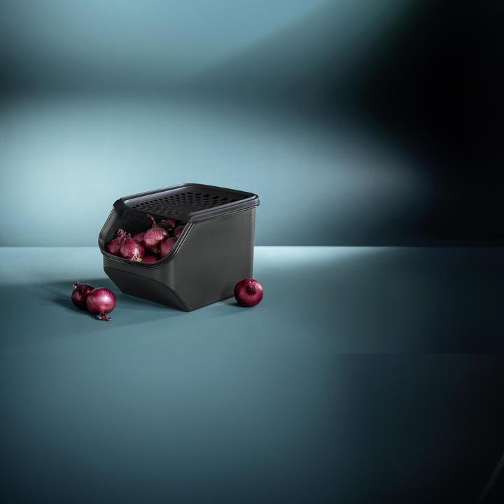 Actual product image Tupperware Onion Smart (5.50 l)