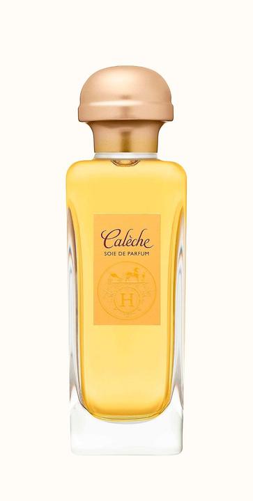 Image du produit Hermès Soie de Parfum (Eau de parfum, 100 ml)