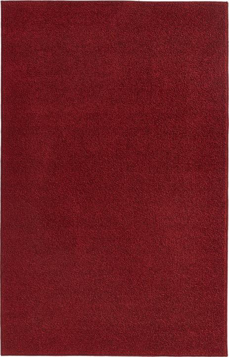 Rot