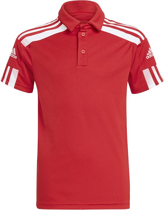 adidas Squadra 21 Polo Kinder (176)