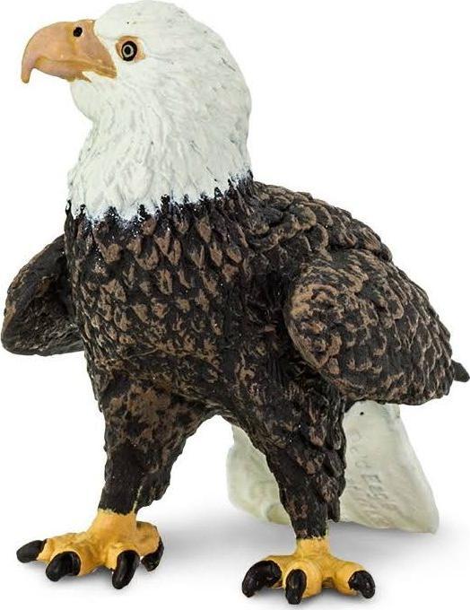 Produktbild Safari Weisskopf-Seeadler