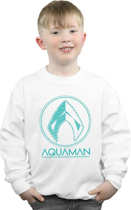 Actual product image Boys Aquaman Aqua Logo Sweatshirt (140, 146)