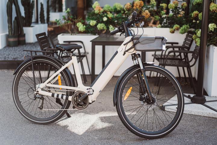 Actual product image Okai EB10 (48 cm)