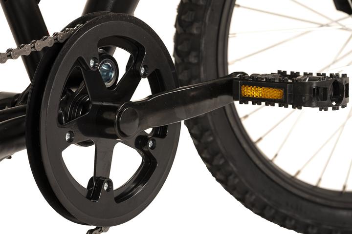 Image du produit Wyld Zodiac 20 (20")