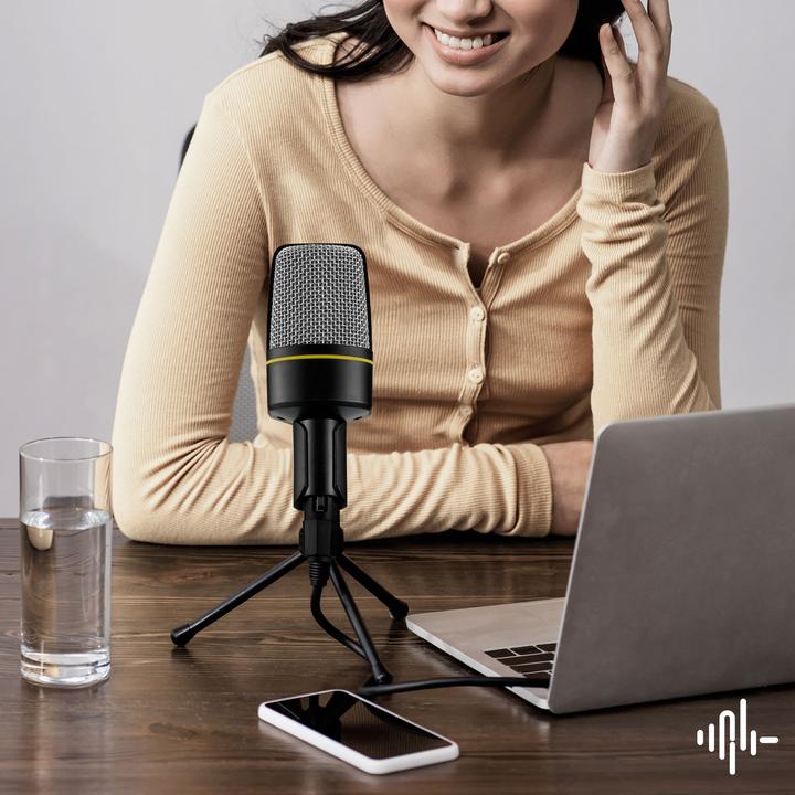 Actual product image LinQ PC Microphone Desktop Mount