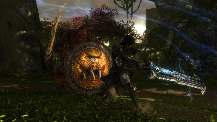 Actual product image THQ Kingdoms of Amalur Re-Reckoning (PS4, EN)
