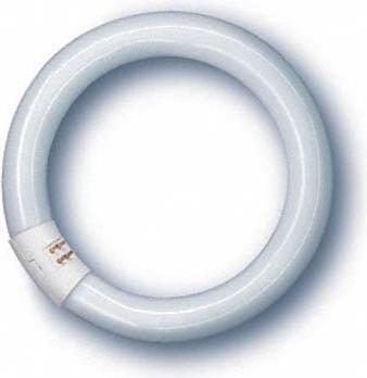 Productafbeelding Osram TL-buis (G10q, 22 W, 1350 lm, 1 x, G)