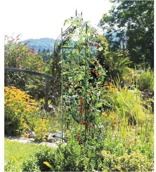 Image du produit Windhager Tour de tomates (30 cm, 30 cm)
