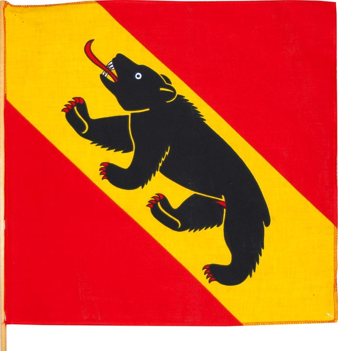 Produktbild Hauser Fahne BE, Stoff, 30x30 cm