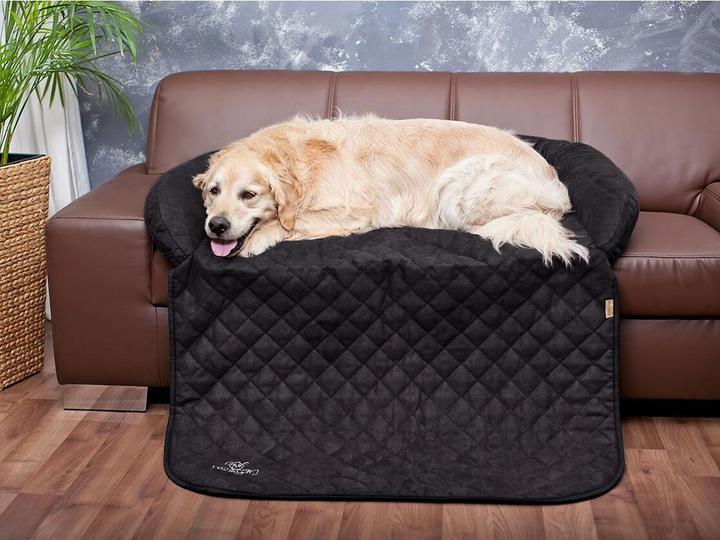 Produktbild Knuffelwuff Berry (Hund)