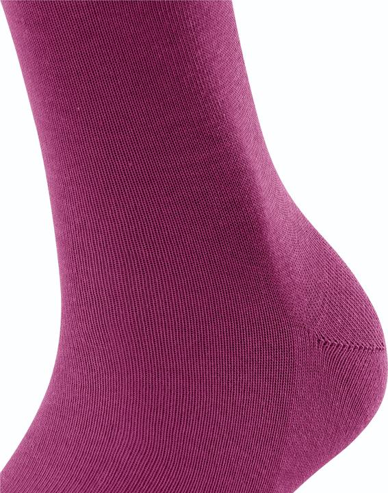 Image du produit Falke Family SO (Une unité par pack, 35 - 38)