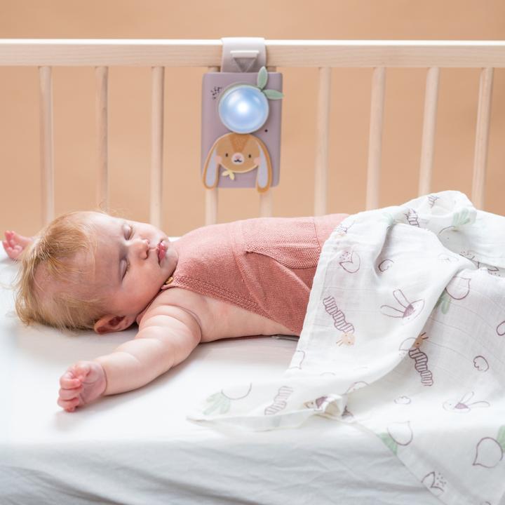 Image du produit Taf Toys Ensemble bébé apaisant lapin