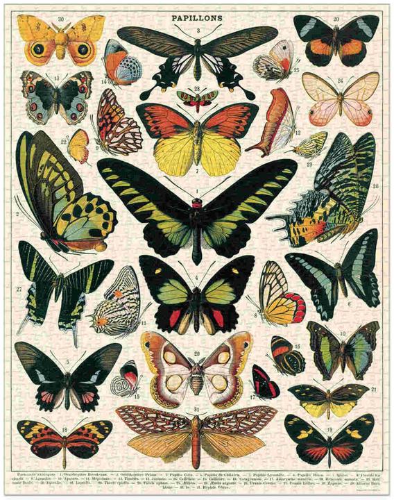 Produktbild Cavallini Butterflies Schmetterlinge (1000 Teile)