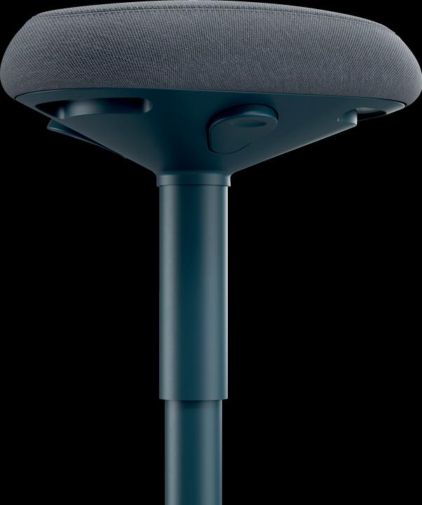 Actual product image Leitz Ergo Active