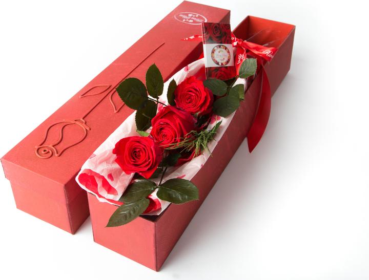 Image du produit Rosas Rivas Rose Premium 3 boutons (56 cm)