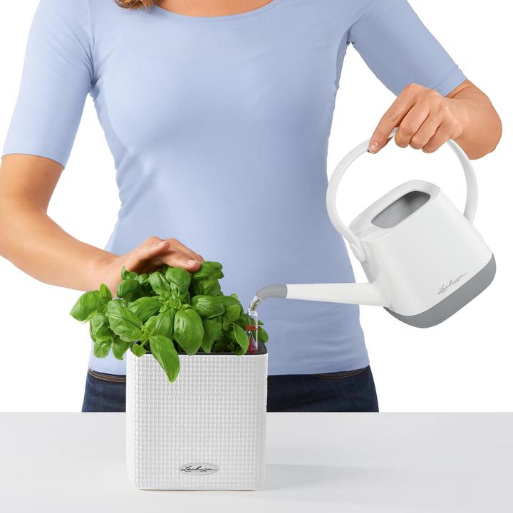 Produktbild Lechuza Green Wall Home Kit (15 cm)