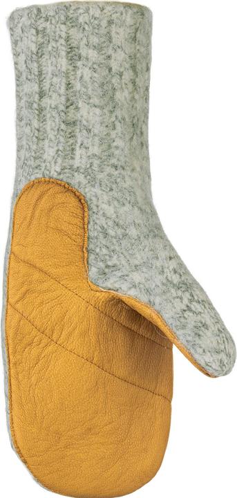 Image du produit Salewa Gants en cuir Walk Wool (L)