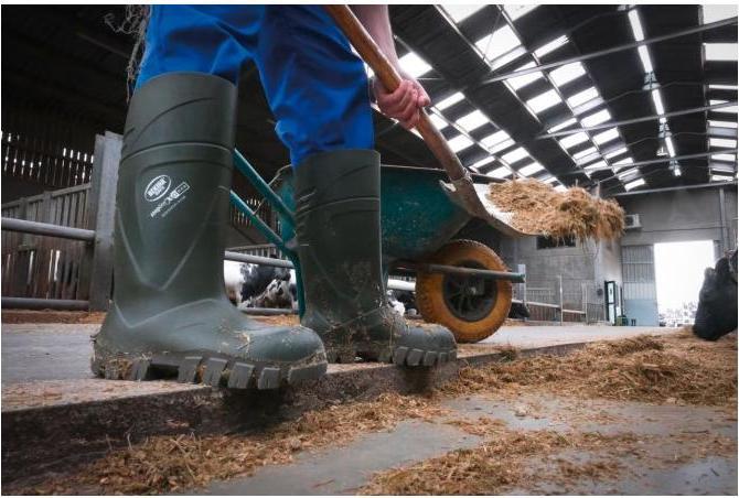 Produktbild Kerbl Sicherheitsstiefel S5 Bekina Steplite XCI Winter (S5, 44)