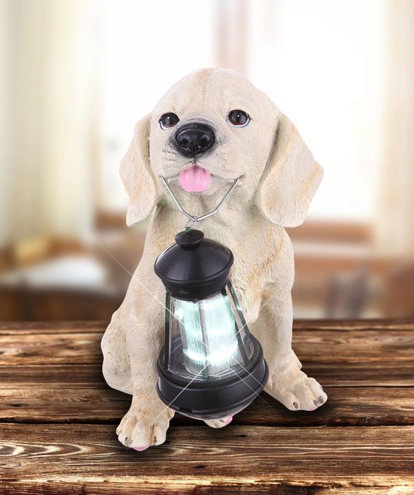 Image du produit Globo Lumière solaire (IP44)