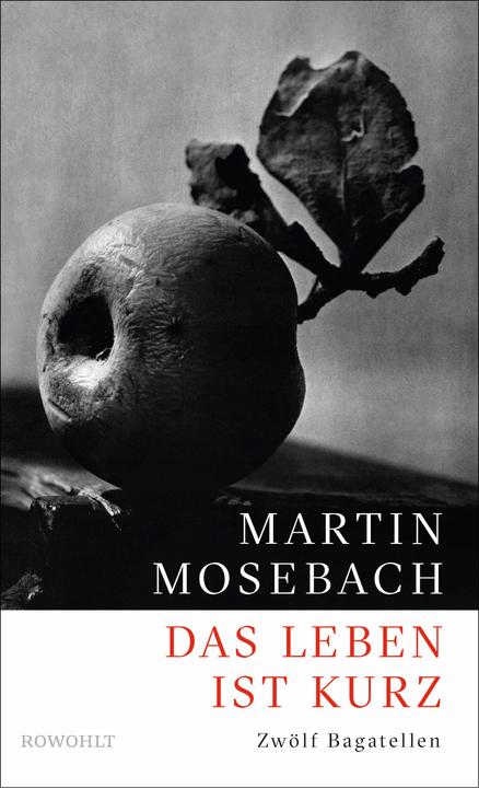 Produktbild Das Leben ist kurz (Deutsch, Martin Mosebach, 2016)
