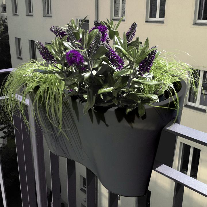 Image du produit Rephorm Pot de fleurs pour balcon Bouture Duo 60 cm - Graphite (30 cm)