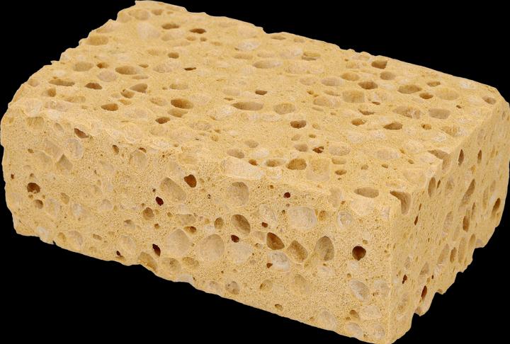 Actual product image Nigrin Viscose sponge