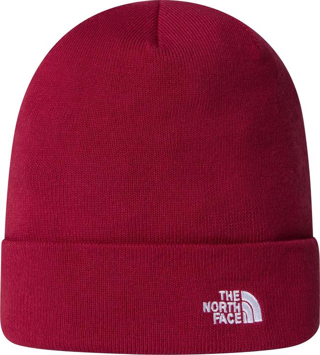 North Face Norm