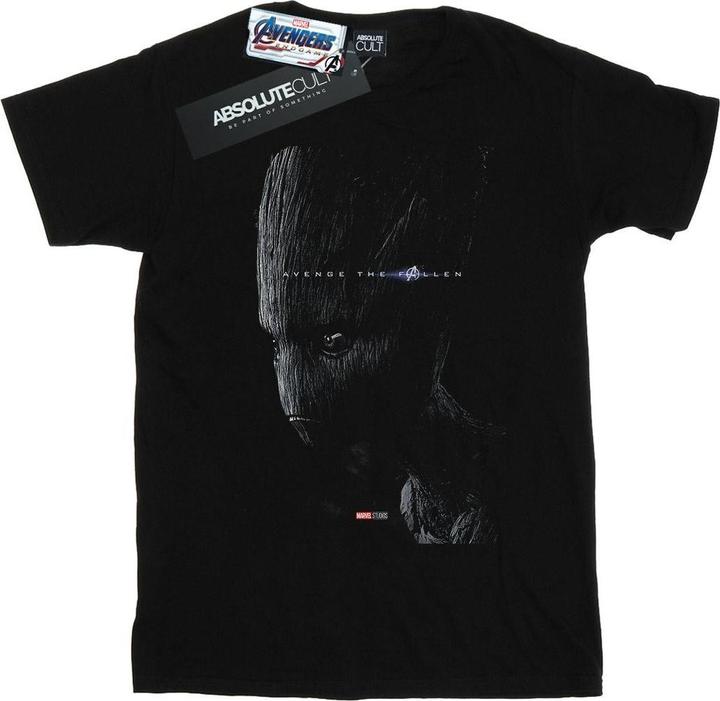 Actual product image Boys Avengers Endgame Avenge The Fallen Groot T-Shirt (152, 158)