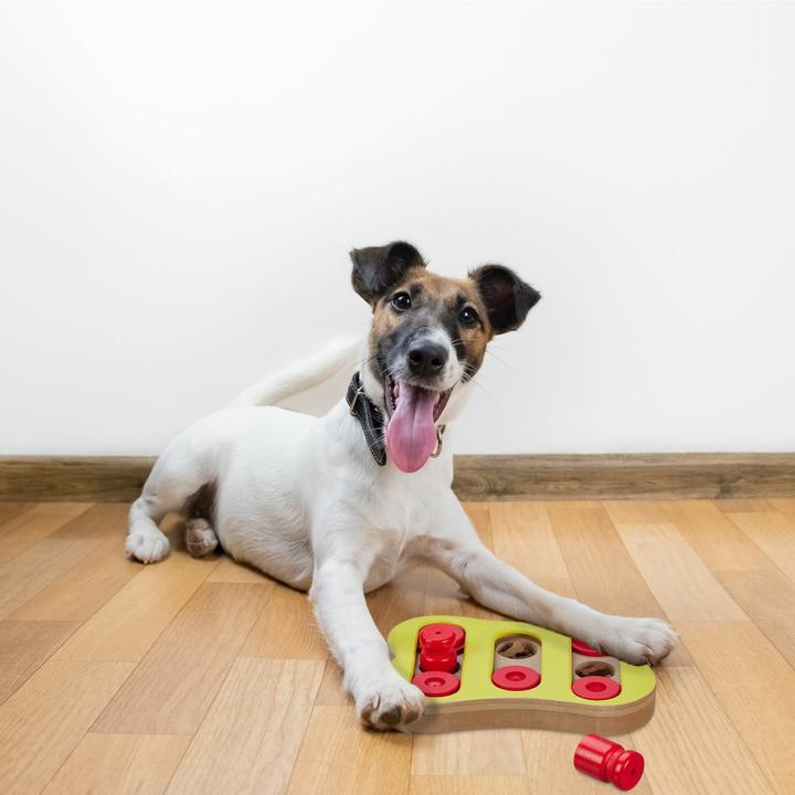 Produktbild Relaxdays Hunde-Intelligenzspielzeug (Intelligenzspielzeug Hund)