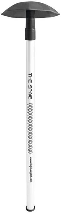 Big Max The Spine