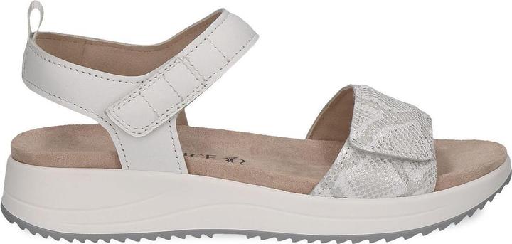 Peigne blanc