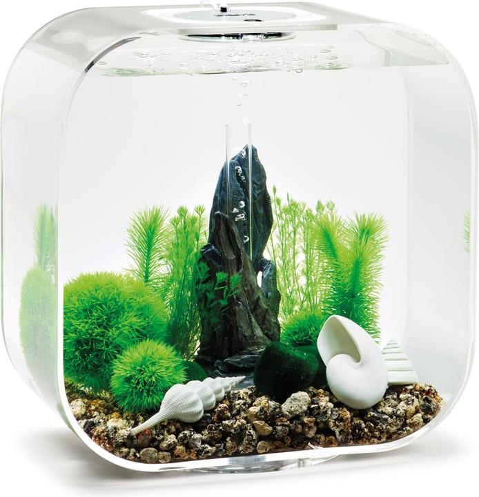 Immagine prodotto Oase Set di decorazioni per l'acquario biOrb 30 (Decorazione, altre voci)