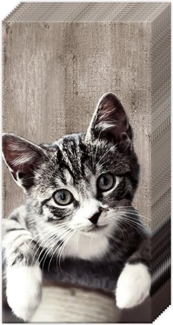 Image du produit IHR Taschentuch Kasimir Katze