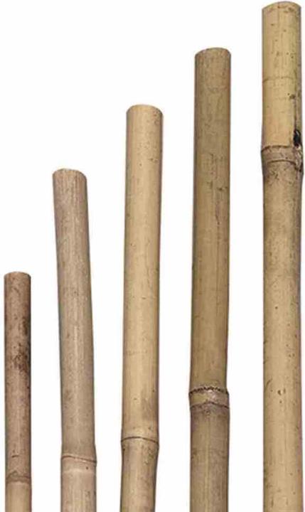 Produktbild Siena Garden Pflanzstab (120 cm, 1 cm)