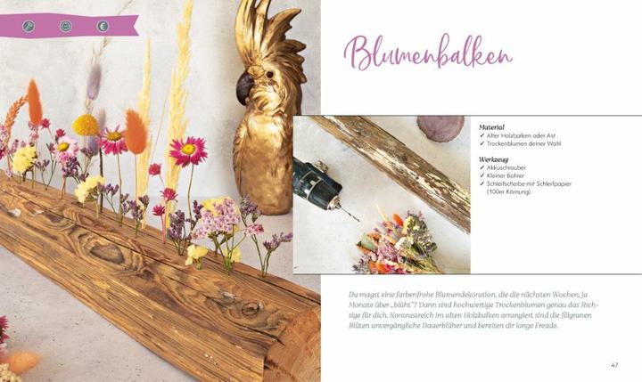 Image du produit Kreative Deko aus Holz (Allemand, Katja Henning, 2022)