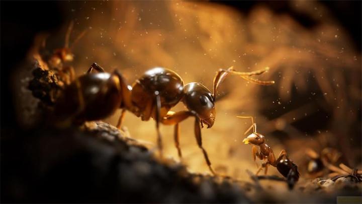 Produktbild astragon Empire of the Ants PS-5 L.E. (PS5)