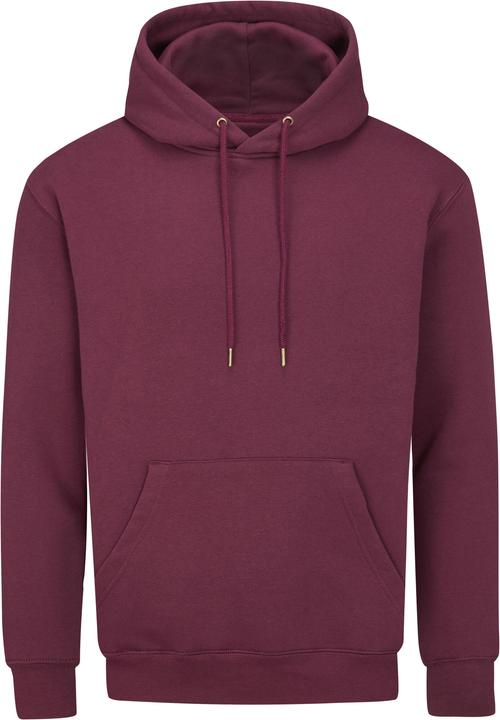 Actual product image Essential Hoodie (M)