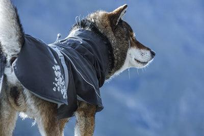Immagine prodotto Hurtta Cappotto Monsoon mirtillo (65, Cappotto per cani)