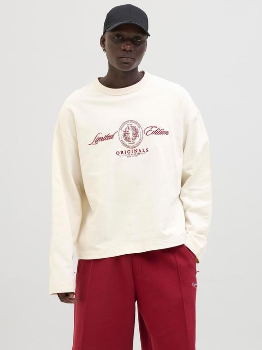 Actual product image Jack & Jones Jordia Sweat Crew Neck Ss25 (S)