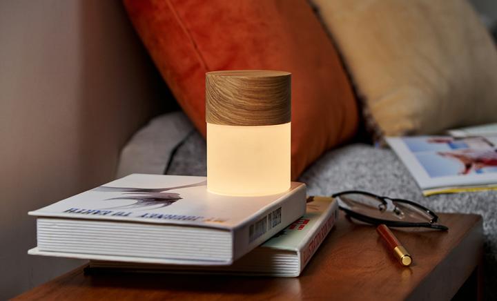 Actual product image Gingko Lemelia