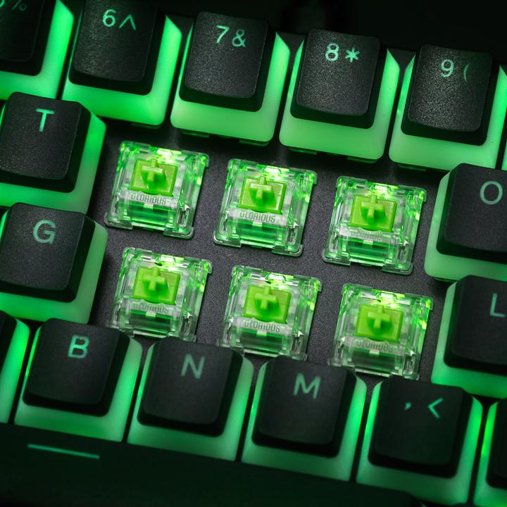 Actual product image Glorious PC Gaming Race Glorious Raptor Switch, mechanical, 5-pin, clicky, MX stem, 55g - 36 pieces