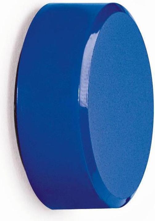 Actual product image Maul per magnet (1 x)