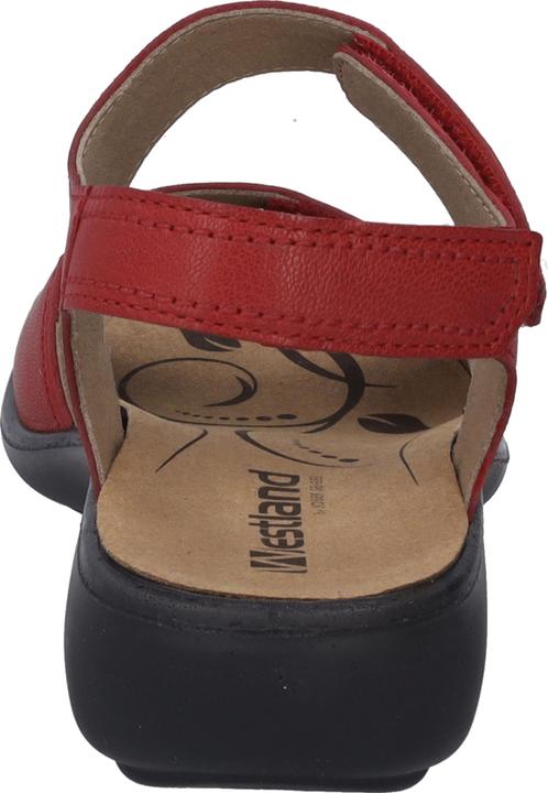 Image du produit Westland 16779-201 (37)