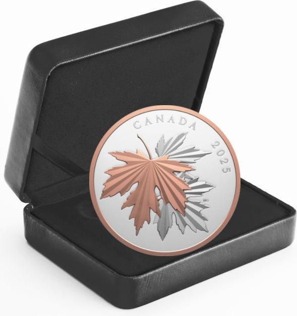 Produktbild The Royal Mint Silber Gleaming Maple Leaf 10 oz PP - 2025 (1.00, 2025)