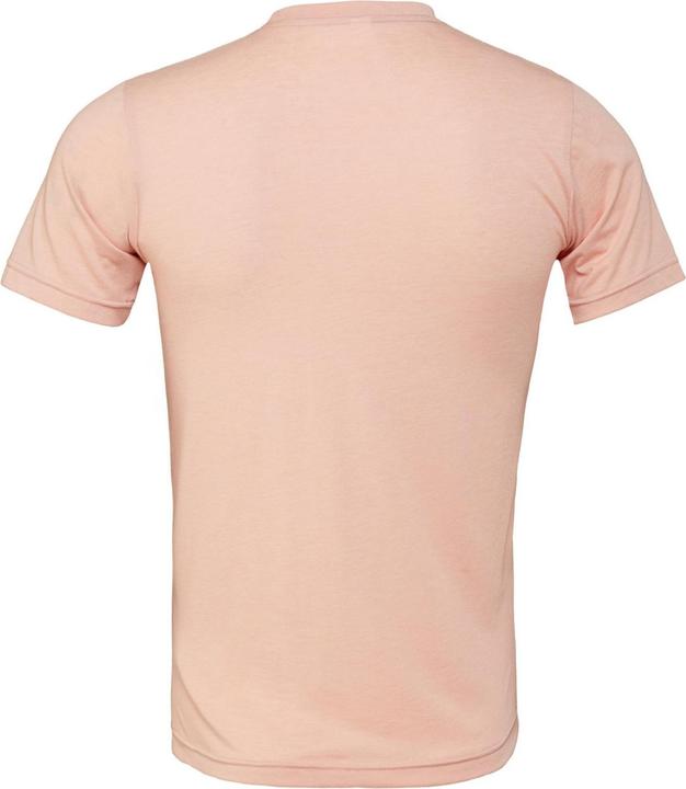 Immagine prodotto Bella Canvas Maglietta a maniche corte in tela triblend (L)