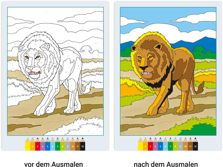 Image du produit Ravensburger Album de coloriage Malen nach Zahlen