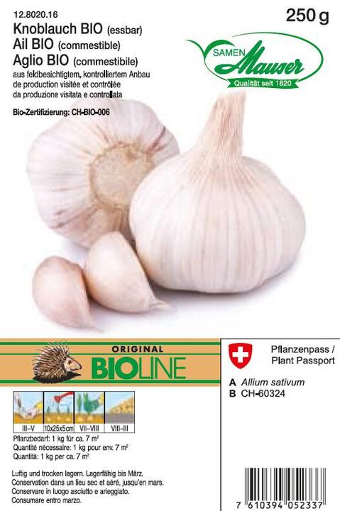 Actual product image Samen Mauser Garlic (Vegetable seeds)